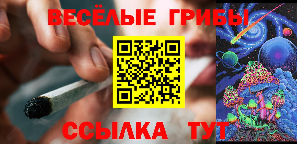 Псилоцибиновые грибы Psilocybe Урай