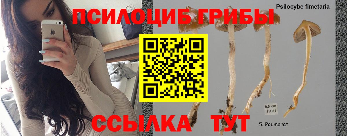 Псилоцибиновые грибы прущие грибы  Вход с VPN  Галлюциногенные грибы мухоморы  Урай 
